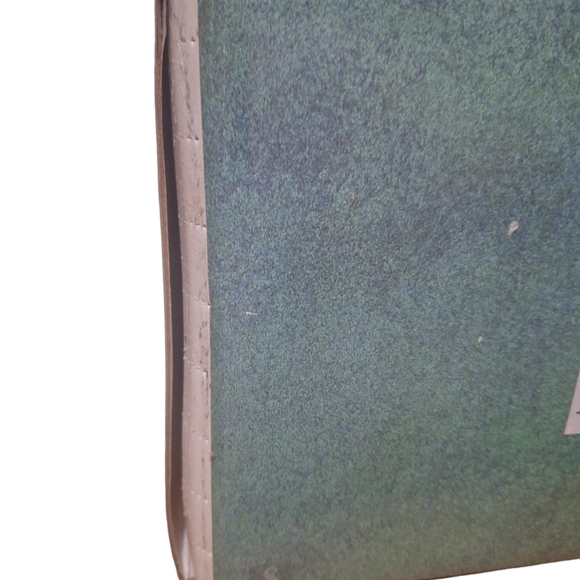 Walt Disney CC Friend Owl "What's Going On Around Here?"  Bambi Figurine In Box - Picture 11 of 12